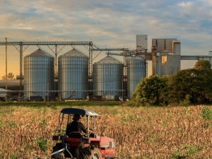 Fertilizer erection commissioning in Oman